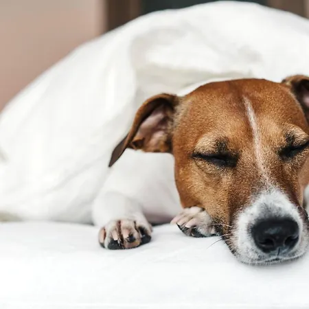 Hotell - The Niu, Crusoe Airport By Ihg 3*